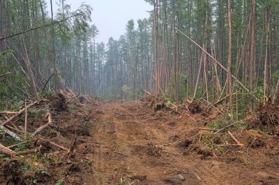 Site Clearing