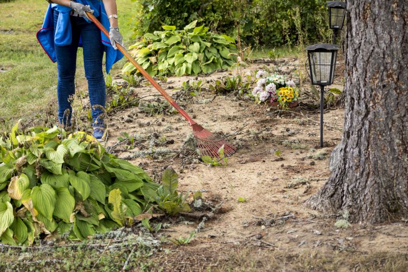 Site Clearing